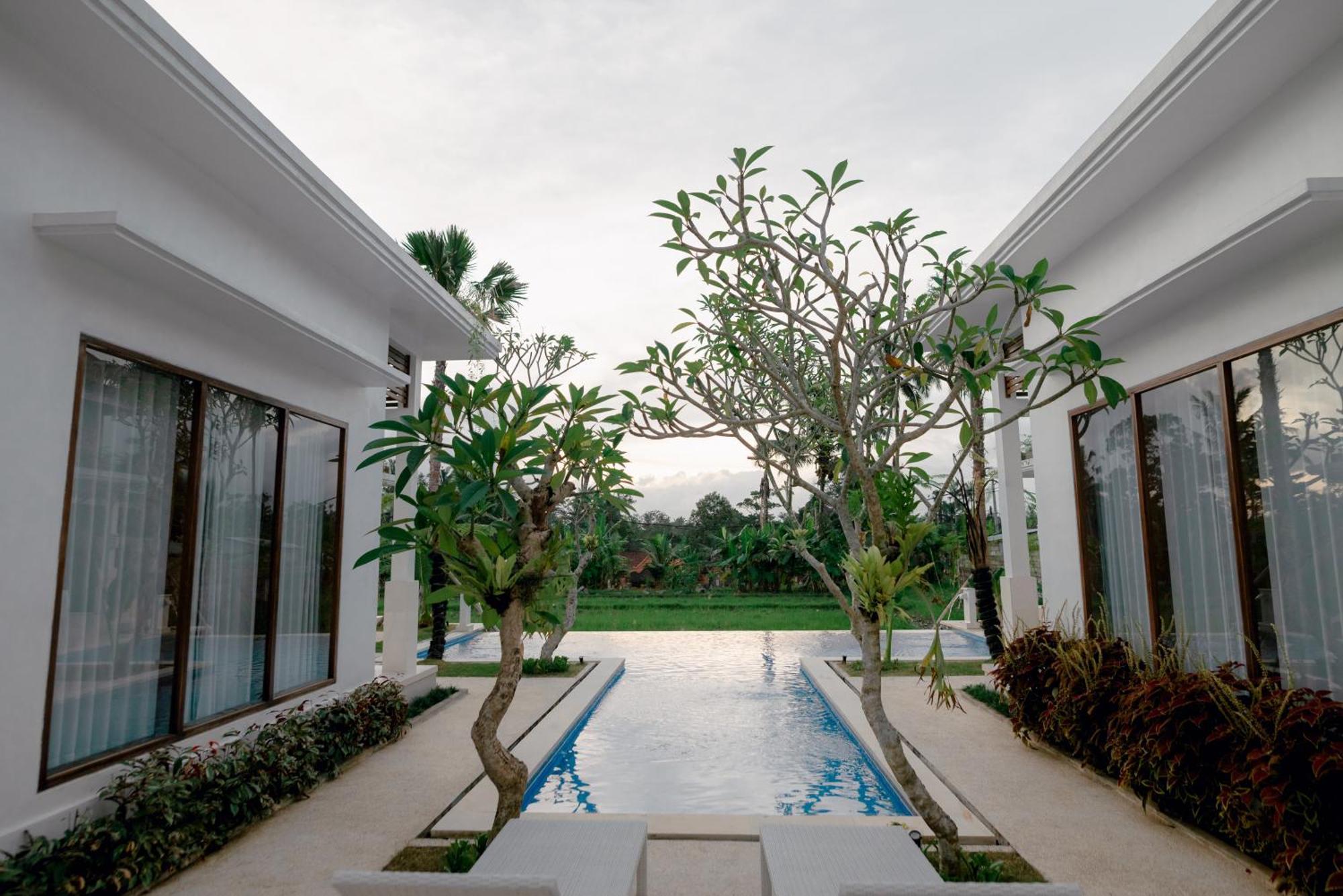 Namika Villas Ubud エクステリア 写真